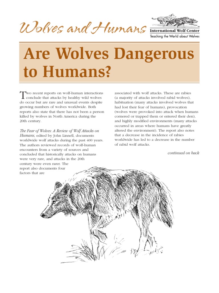 Rare Wolf Attacks on Humans | PDF | Gray Wolf | Wolves