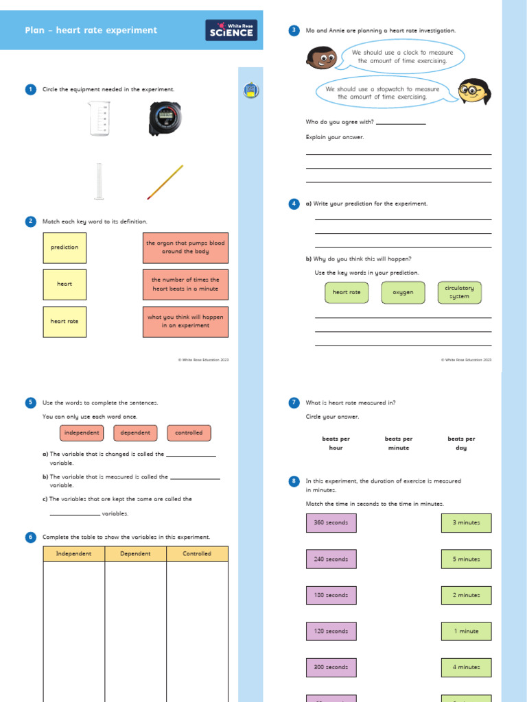 WRS Year 6 Spring B4 WS4 - Plan - Heart Rate Experiment | PDF | Heart ...