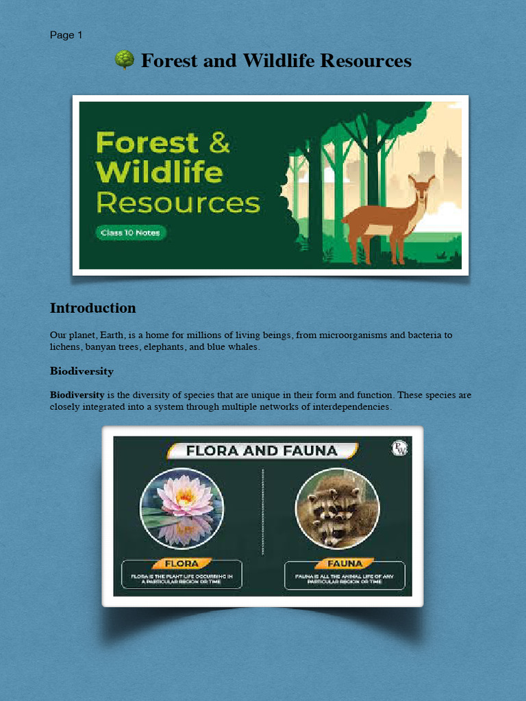 Bhairodev Dakav Sonchuri Initiative | PDF | Biodiversity | Tiger