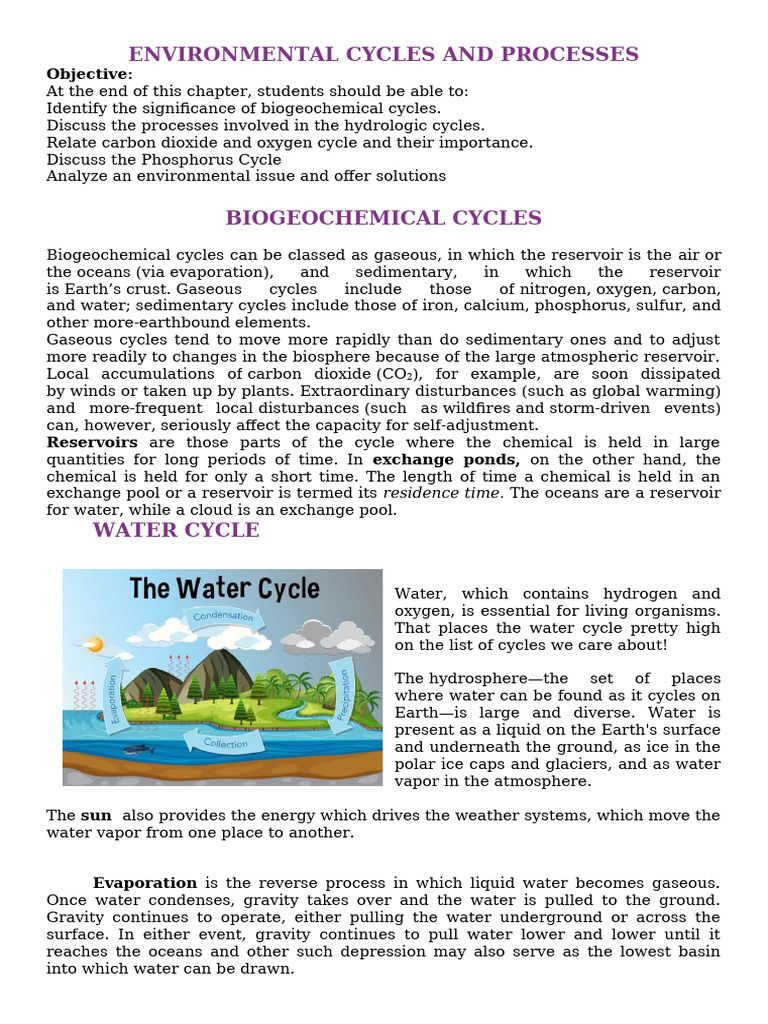 Understanding Environmental Cycles | PDF | Evaporation | Water