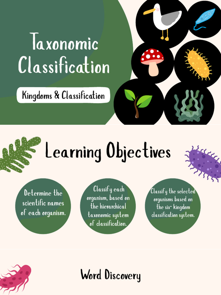 Taxonomy | PDF