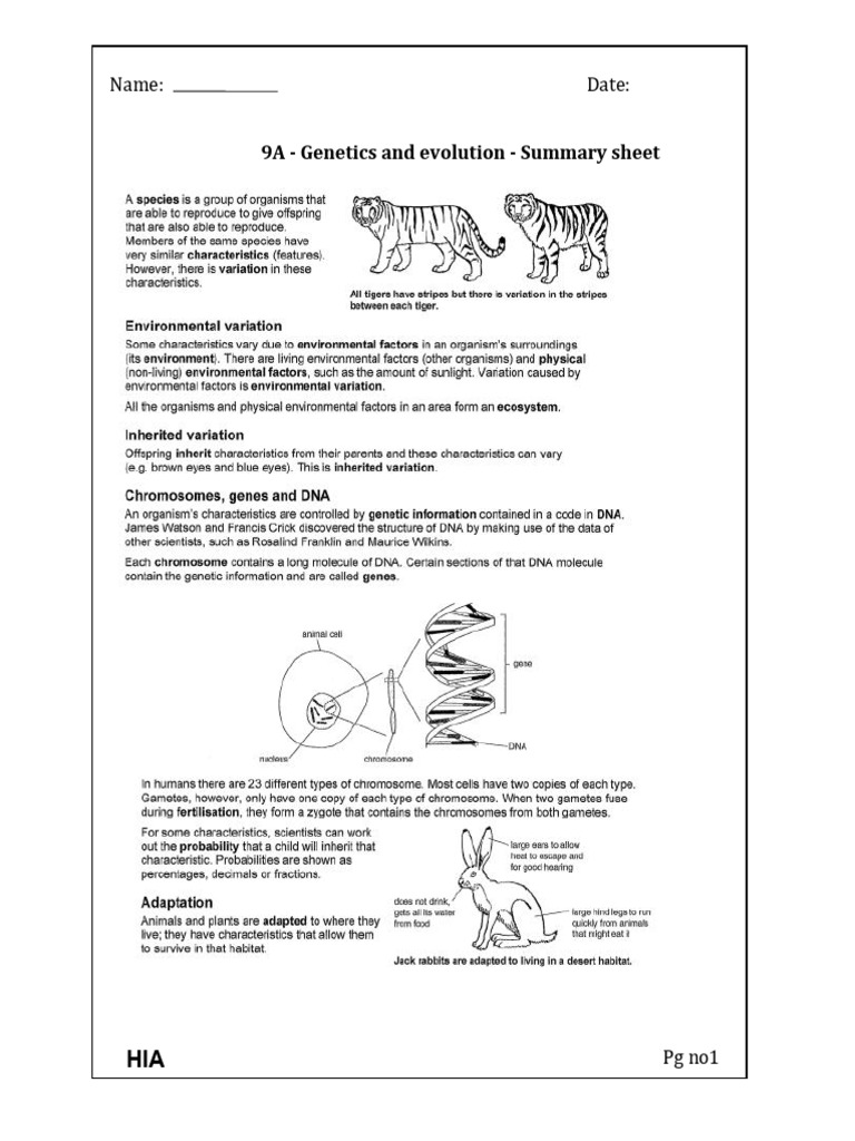 Sci 9A Genetic and Evolution Summary Sheet | PDF