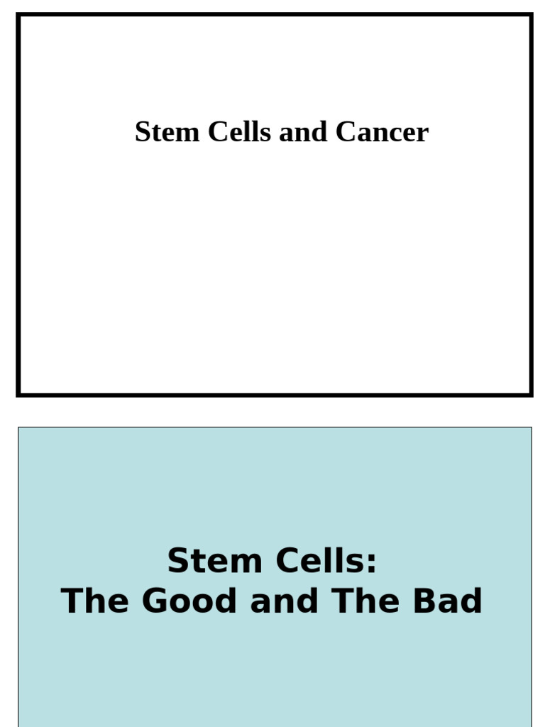 Cancer Stem Cells | PDF | Cancer | Mutation