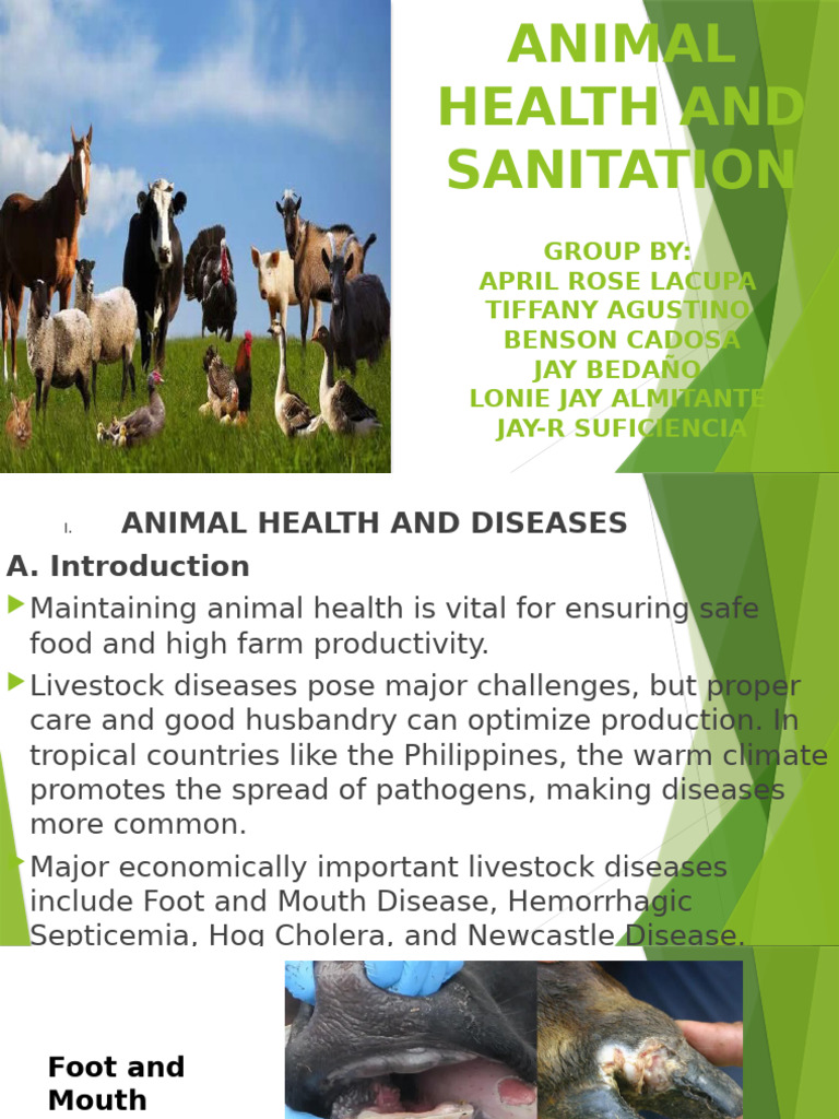 Animal Health and Disease Overview | PDF | Infection | Vaccines