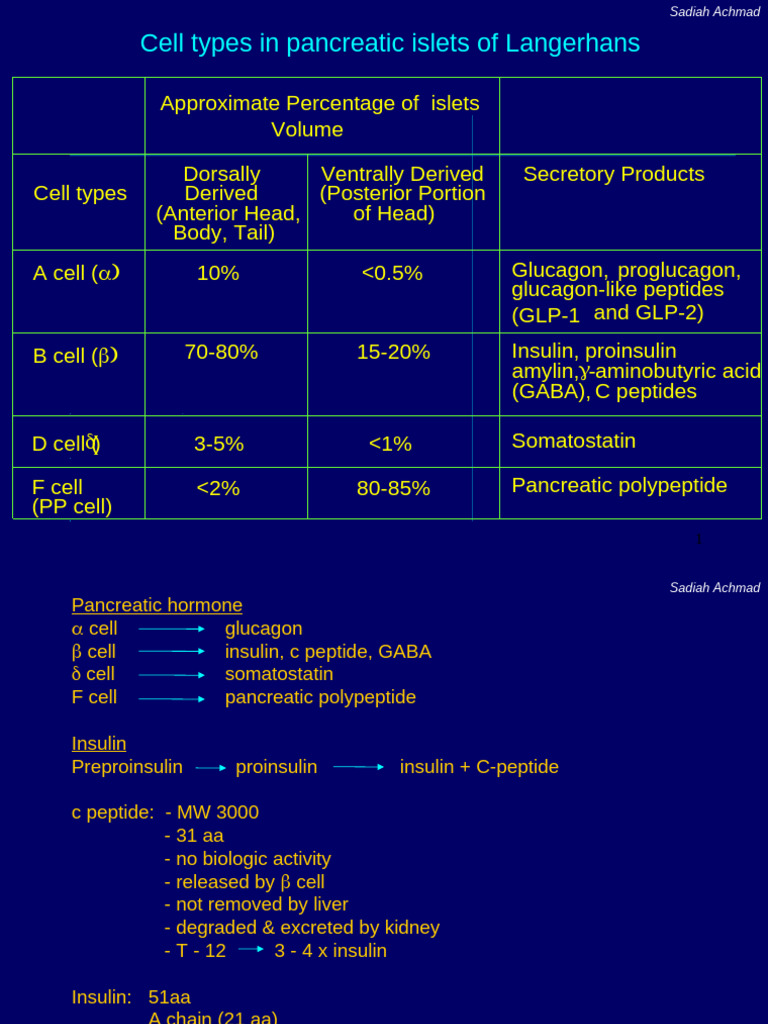 Pancreatic Islet Cell Types and Functions | PDF | Anatomy