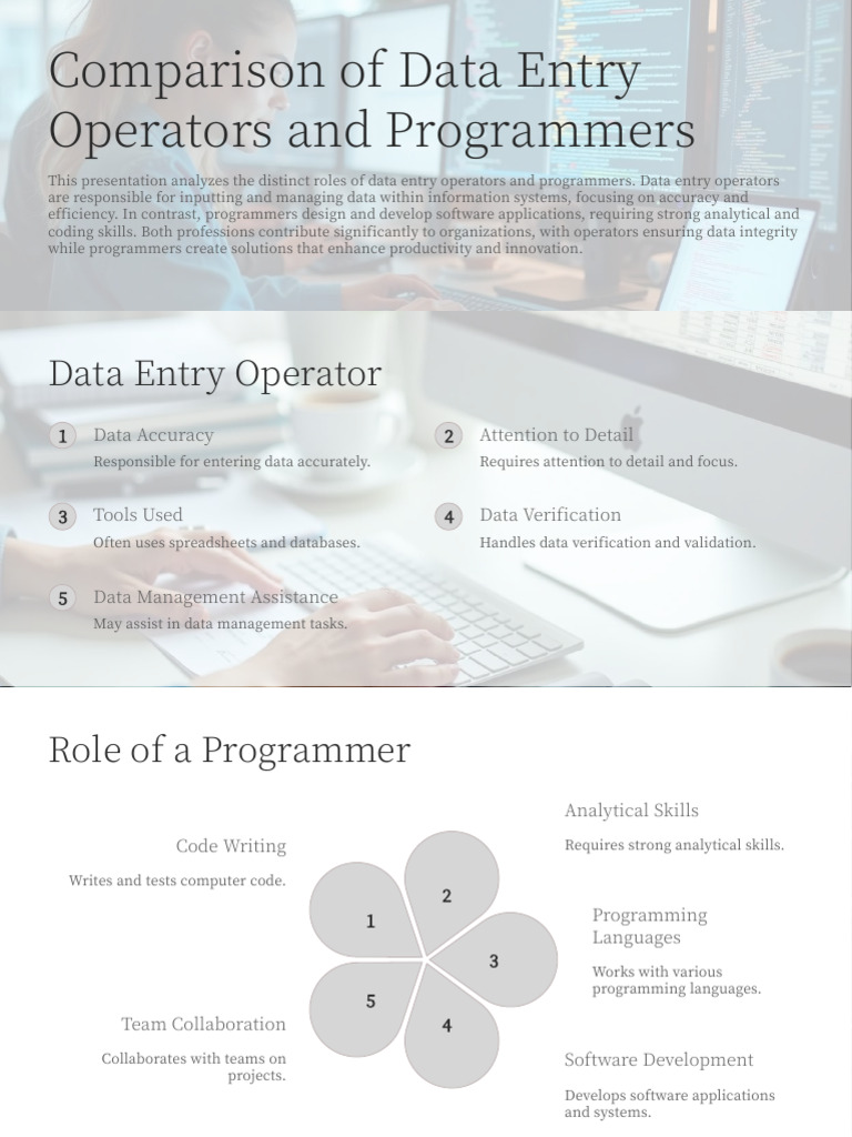 Data Entry Operators vs Programmers | PDF
