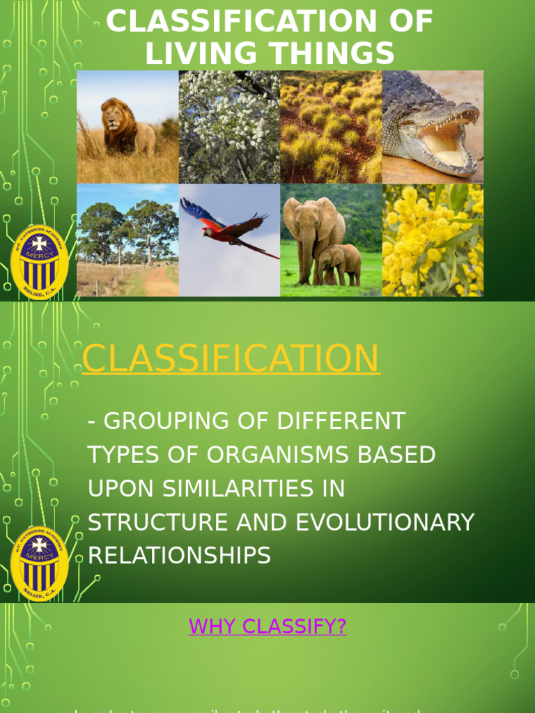 1.1 Read-Classification PPT-M3-L1 | PDF
