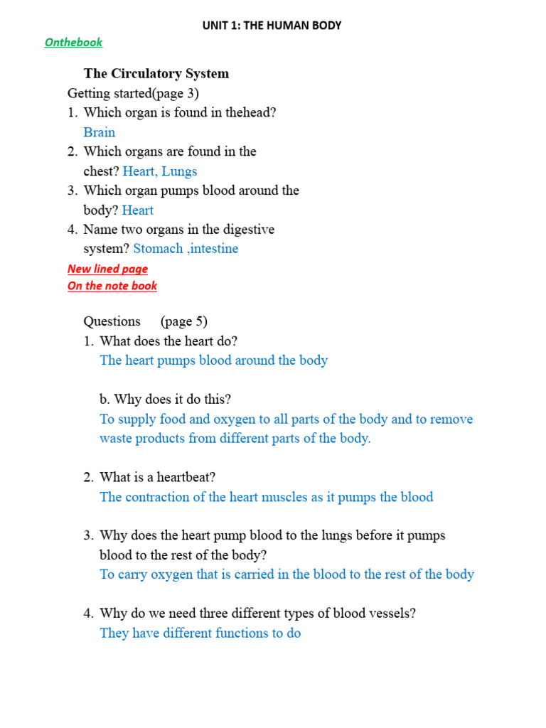 Understanding the Human Body Systems | PDF | Circulatory System | Heart