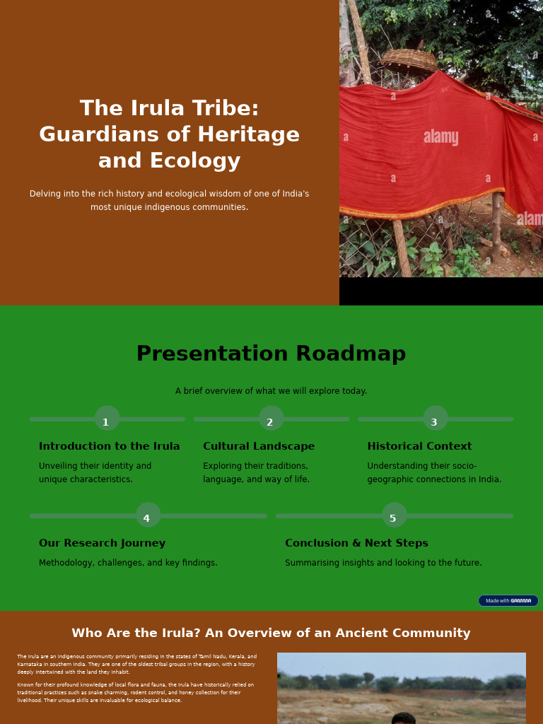 Irula Tribe: Heritage and Ecology Insights | PDF | Ecological ...