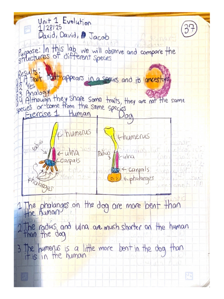 Unit 1 Evolution | PDF