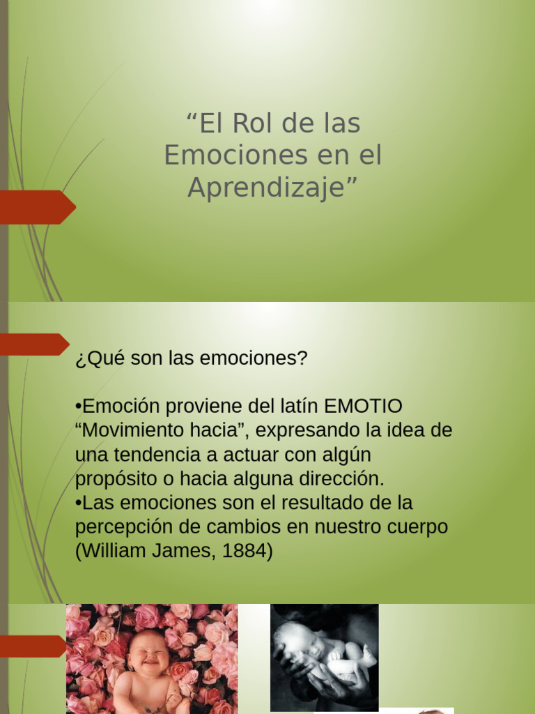 Emociones y Aprendizaje Efectivo | PDF | Las emociones | Cerebro