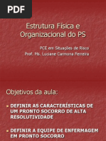 Estrutura Fisica e Organizacional Do Ps