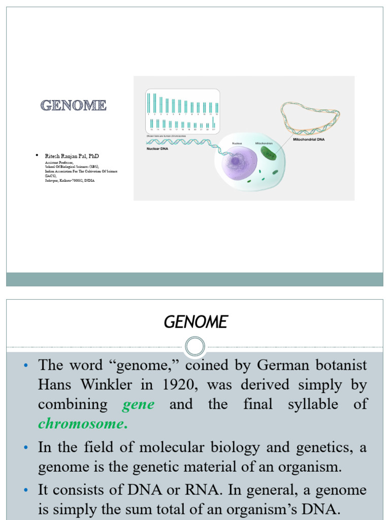 Understanding Genomes: Types and Functions | PDF | Genome | Plasmid