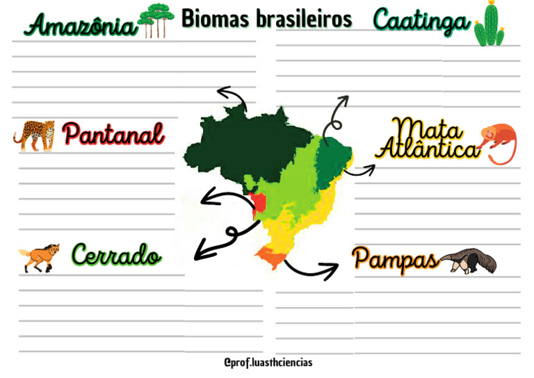 Mapa Mental dos Biomas Brasileiros | PDF