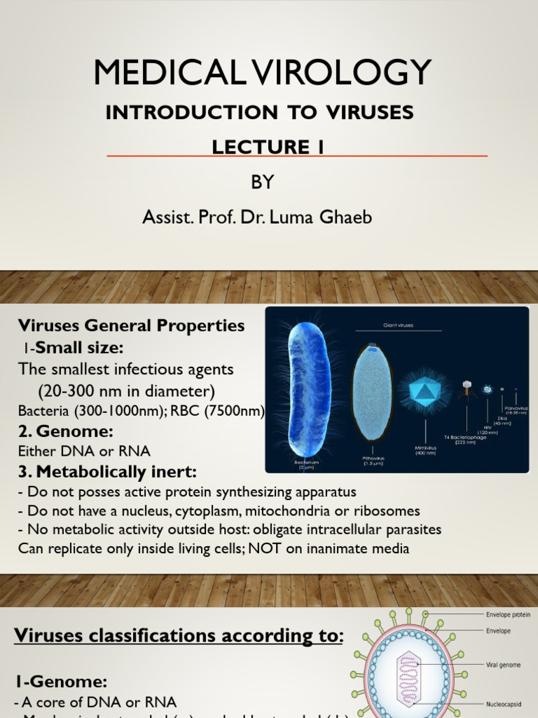 Medical Virology: Introduction To Viruses | PDF | Virus | Sense ...