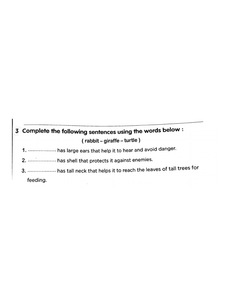 3 Complete The Following Sentences Using The Words Below | PDF