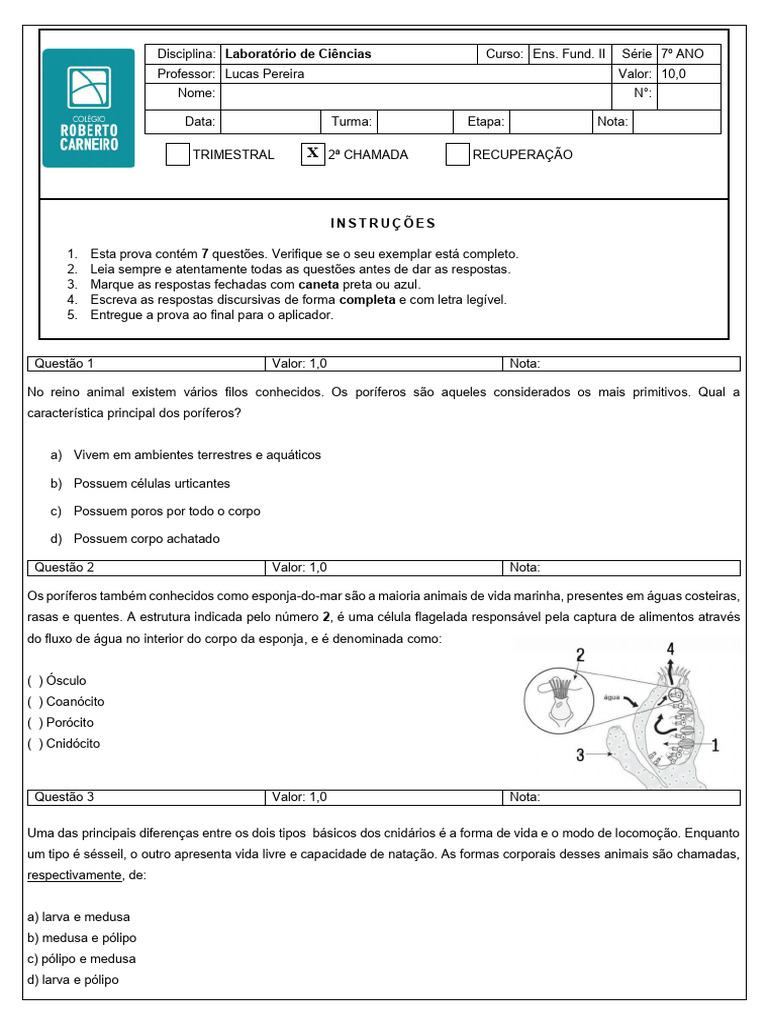 Tapis de coffre Volkswagen T6 , carrosserie van, fabrication 06.2015 - 2019, empattement L1 #4
