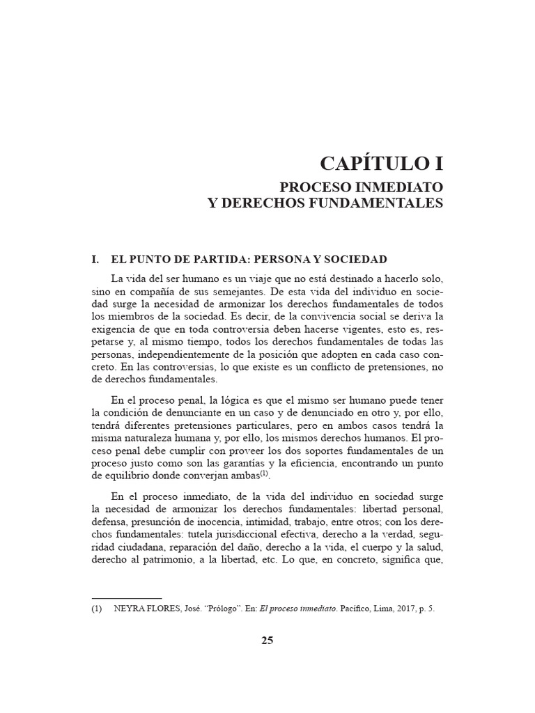 Proceso Inmediato y Derechos Fundamentales | PDF | Derecho ...