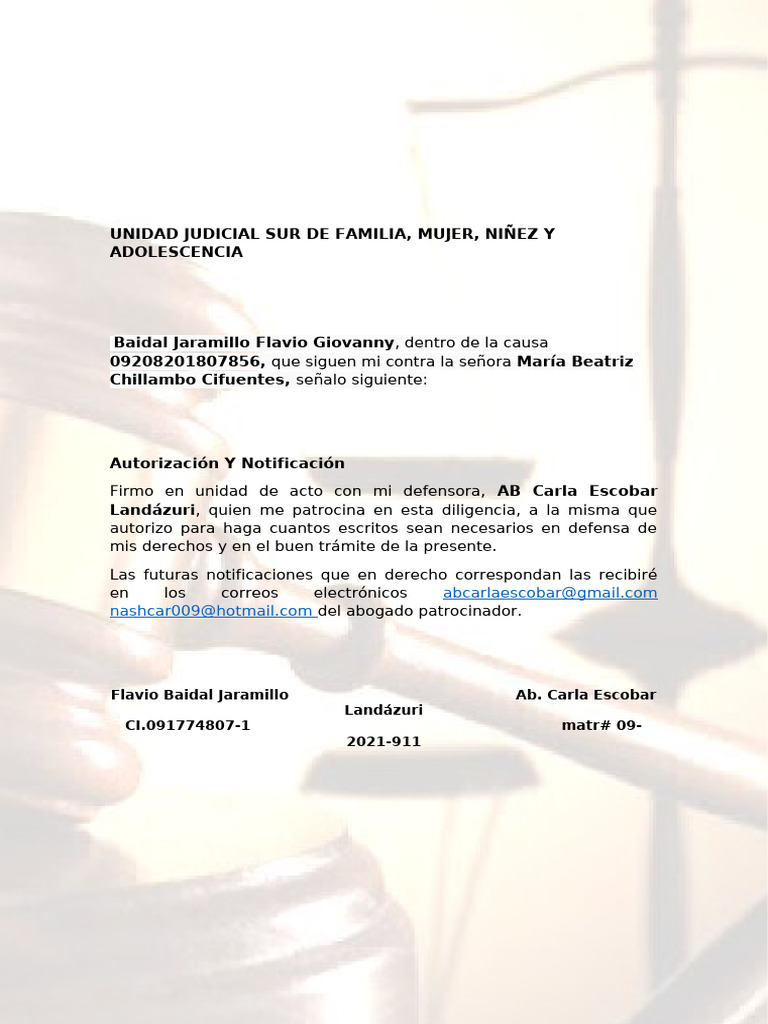 Demanda de Reivindicación Inmobiliaria | PDF | Testigo experto | Divorcio