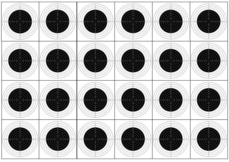 Rifle Target 2 | PDF