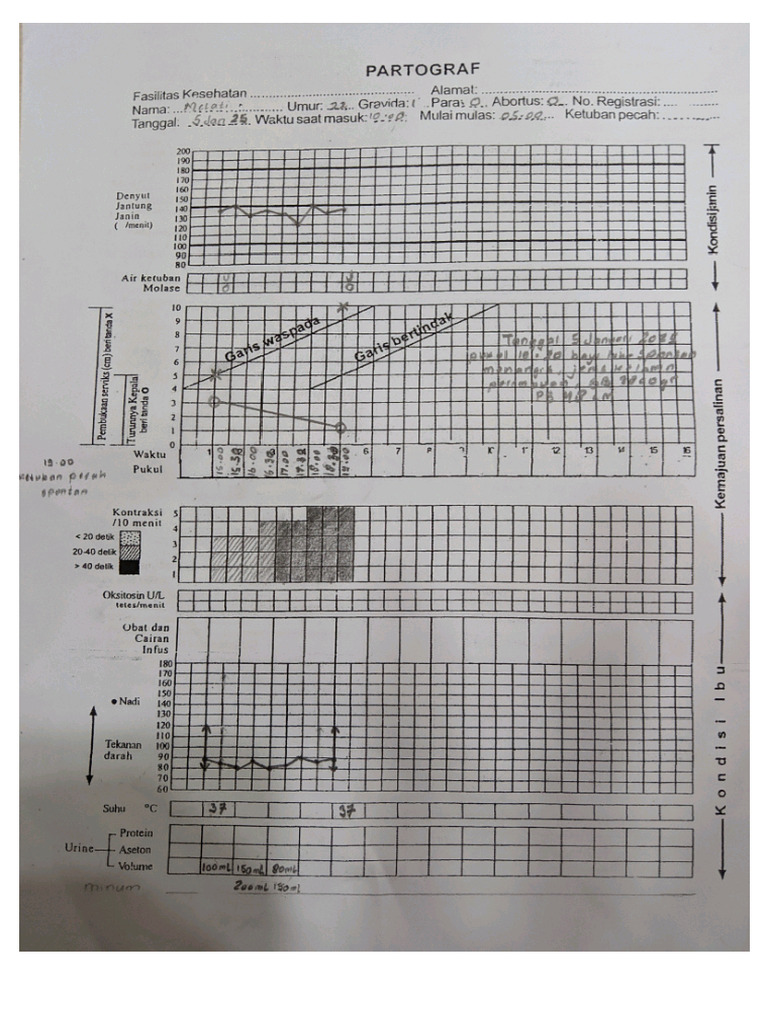 Patograf | PDF
