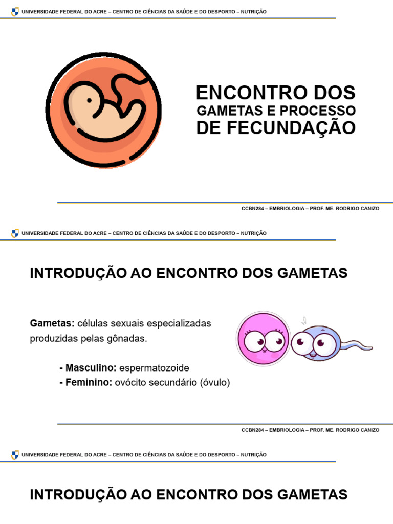 Encontro dos Gametas e Fecundação | PDF | Fertilização | Anatomia
