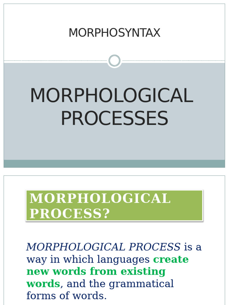 Understanding Morphological Processes | PDF | Morphology (Linguistics ...