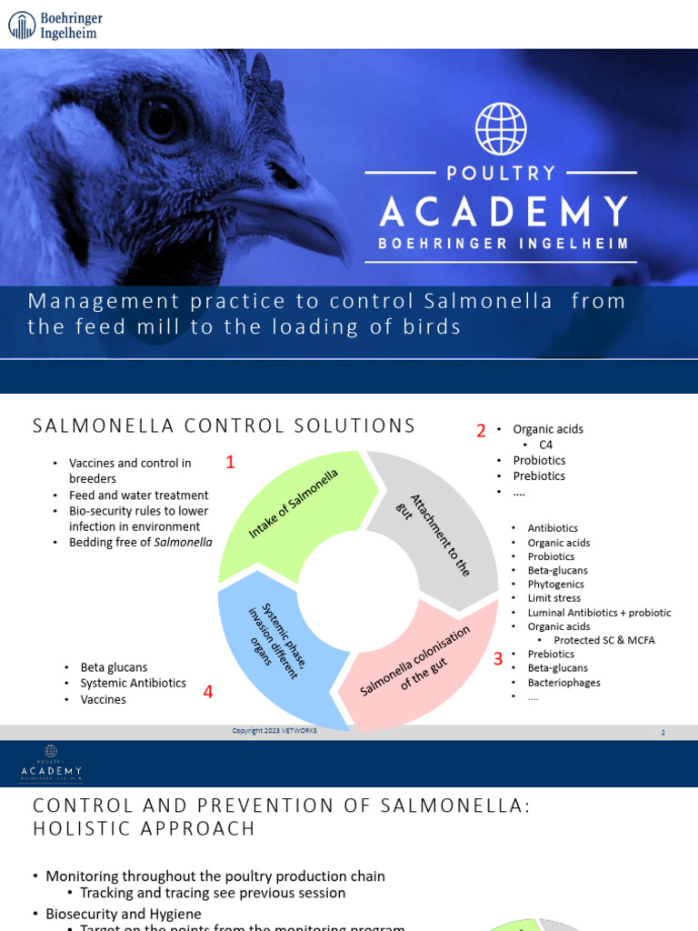 Salmonella Control in Poultry Production | PDF | Digestion ...