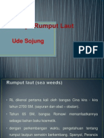 Budidaya Rumput Laut