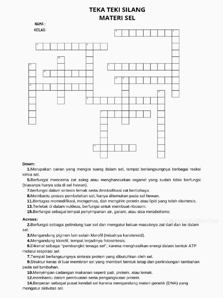 TTS Sel | PDF