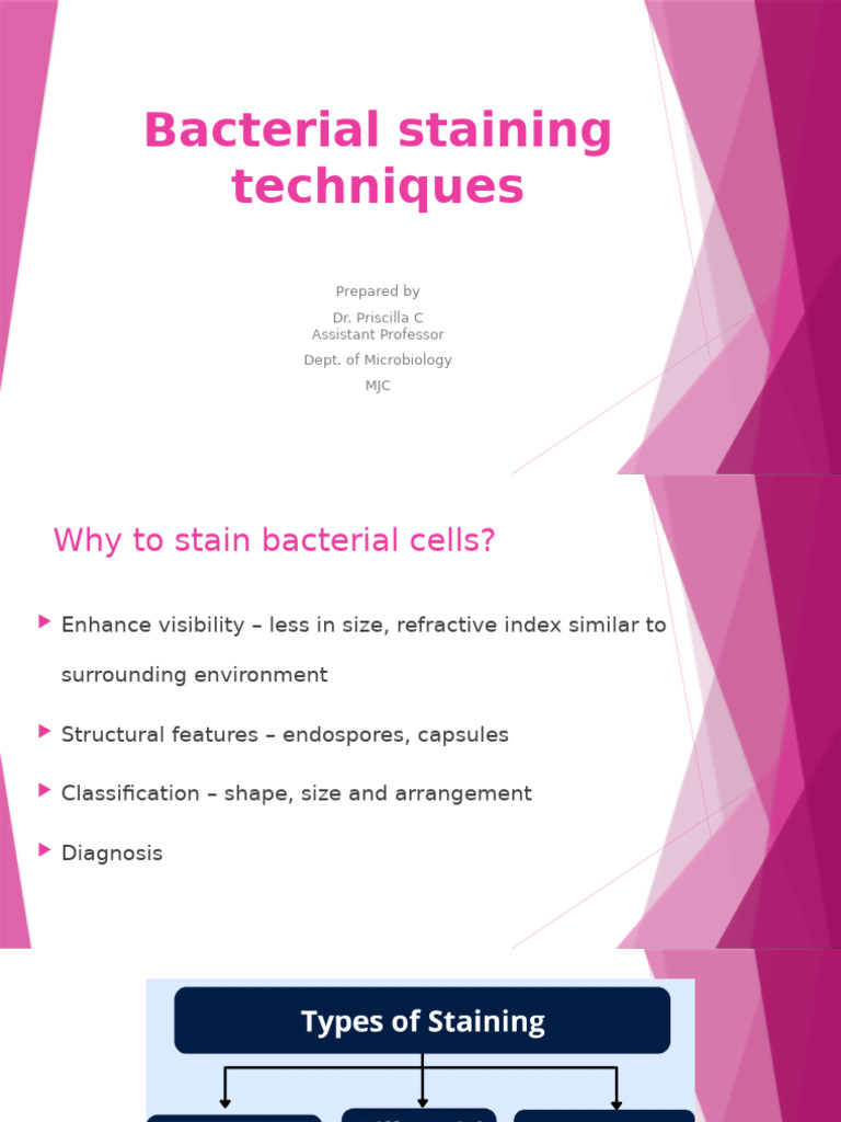 Bacterial Staining Techniques | PDF | Staining | Gram Positive Bacteria