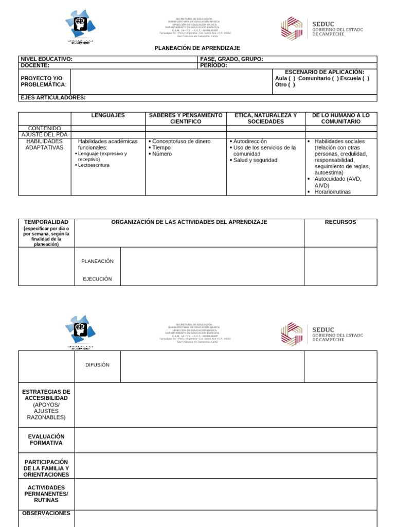 Formato de Planeacion CAM18 | PDF | Educación especial | Educación primaria