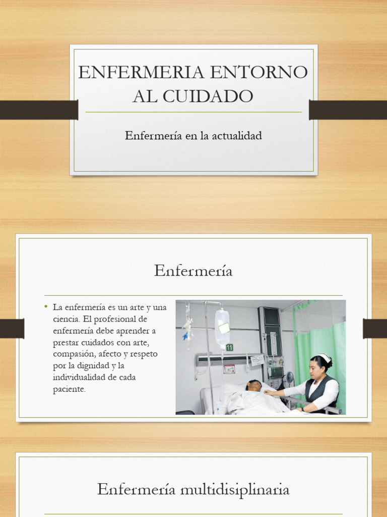 1 Enfermeria Entor Al Cuidado | PDF