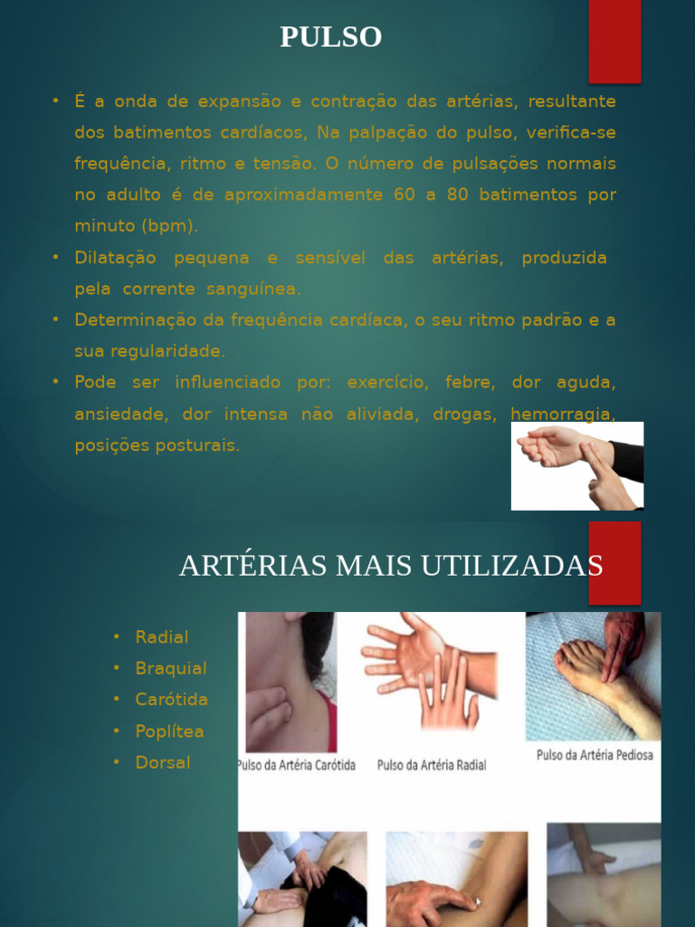 Apresentação2 pulso | PDF | Pulso | Coração