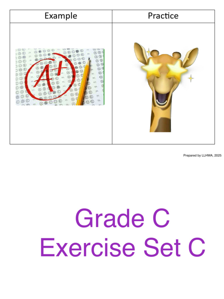 LLHWA Exercise Sets A, B, C Guide | PDF