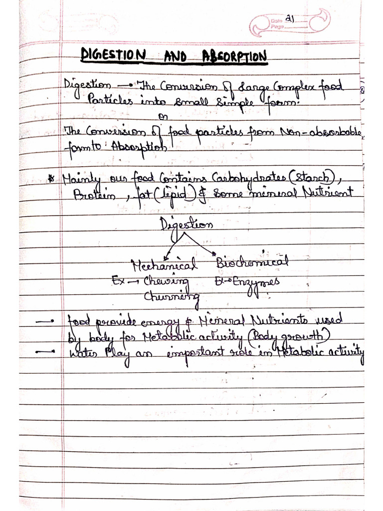 Digestion 11th | PDF
