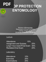 Insect Orders Identification Key | PDF | Insects | Arthropods