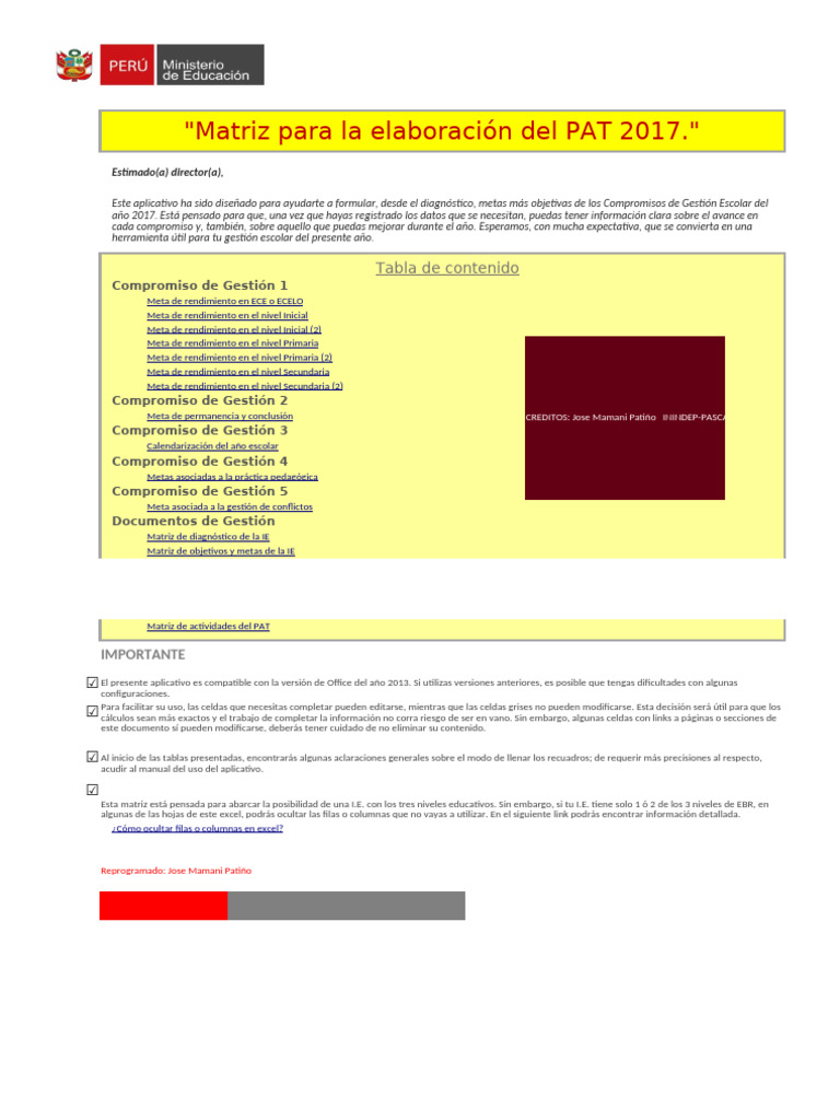 Matriz Elaboracion Del PAT 2017 | PDF