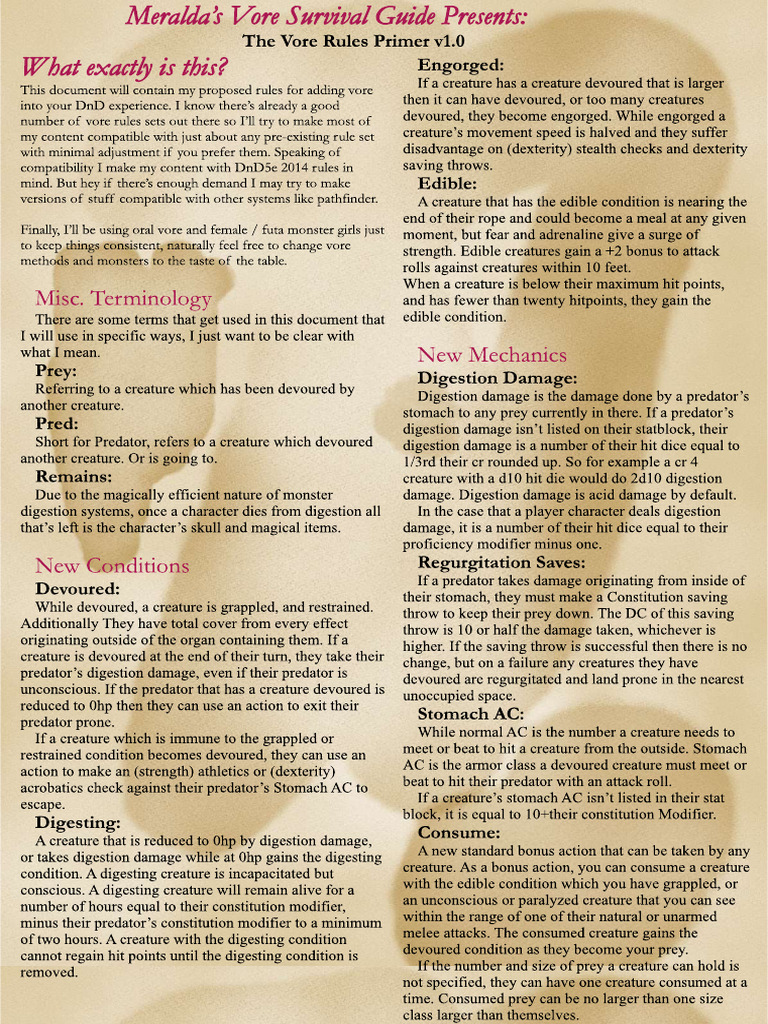 Vor e Rules Primer | PDF