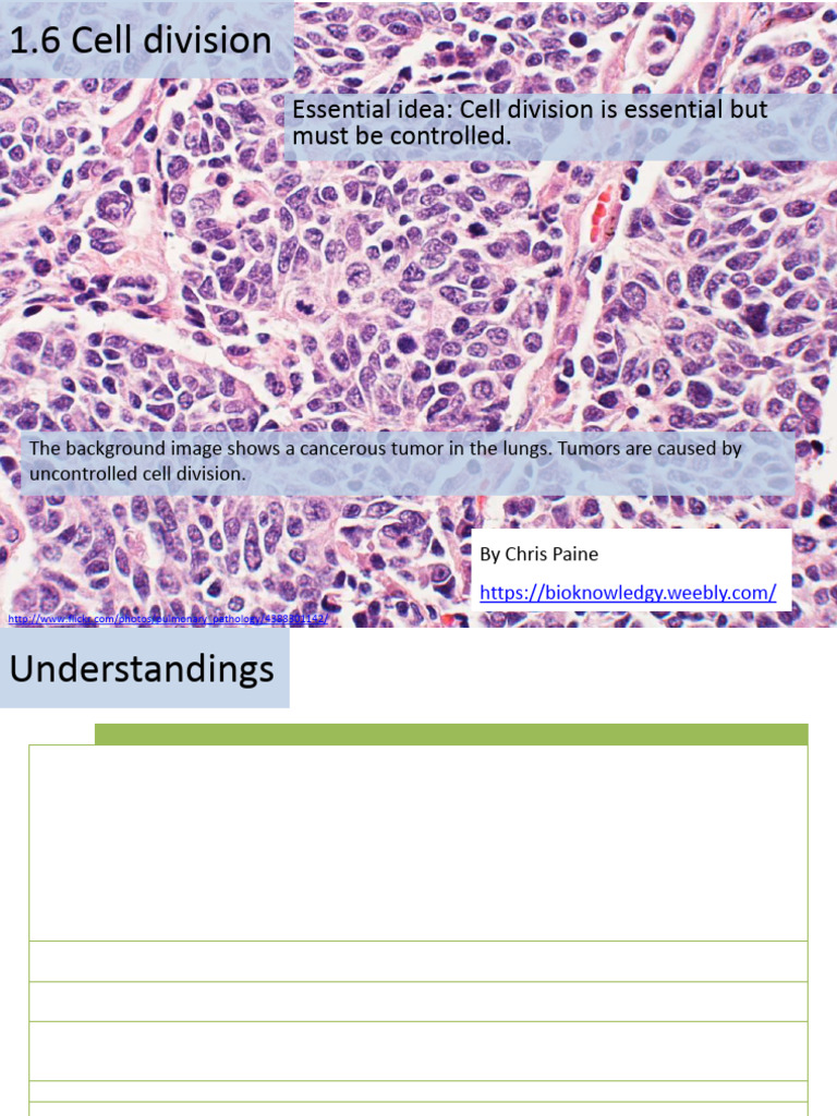 All My Bio Notes - Cell Division+ Human Reproduction+ Plant ...