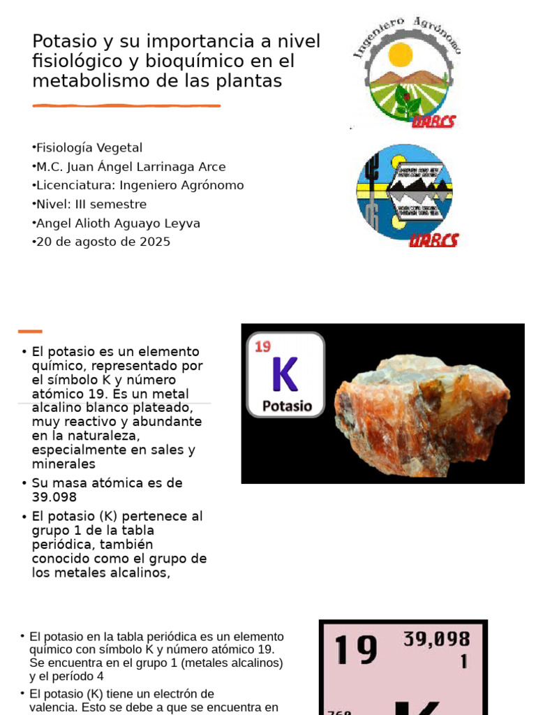 Potasio y Su Importancia A Nivel Fisiológico y Bioquímico en | PDF