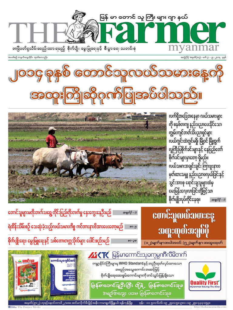 Issue 87 | PDF