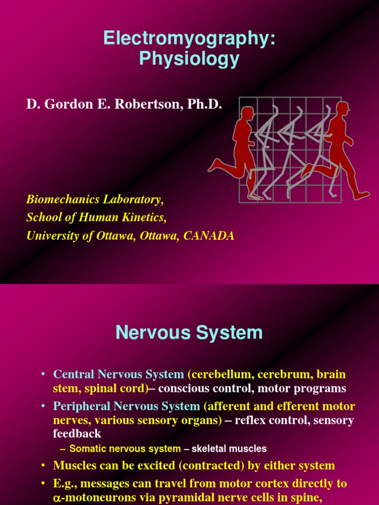 Understanding Electromyography Basics | PDF | Electromyography | Action ...