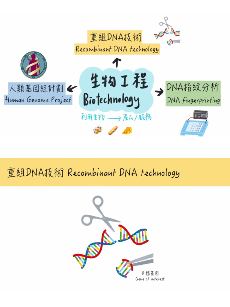 Biotechnology (Core) | PDF