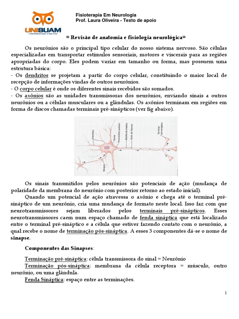 = Revisão de anatomia e fisiologia neurológica ...