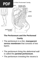 Special Regions of the Peritoneal Cavity | PDF | Peritoneum ...