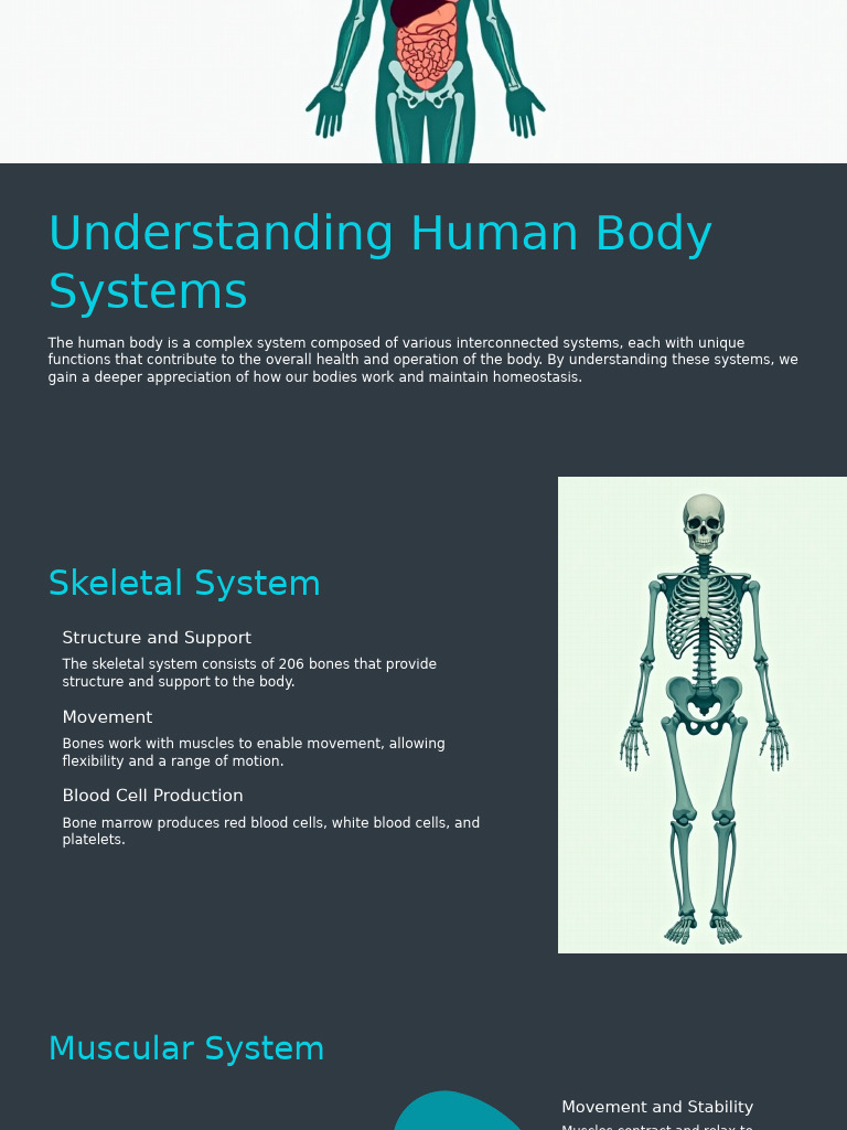 Understanding Human Body Systems | PDF | Human Body | Heart