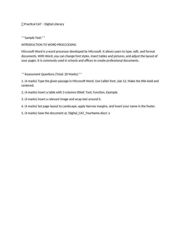 Digital Literacy Practical Exam Guide | PDF