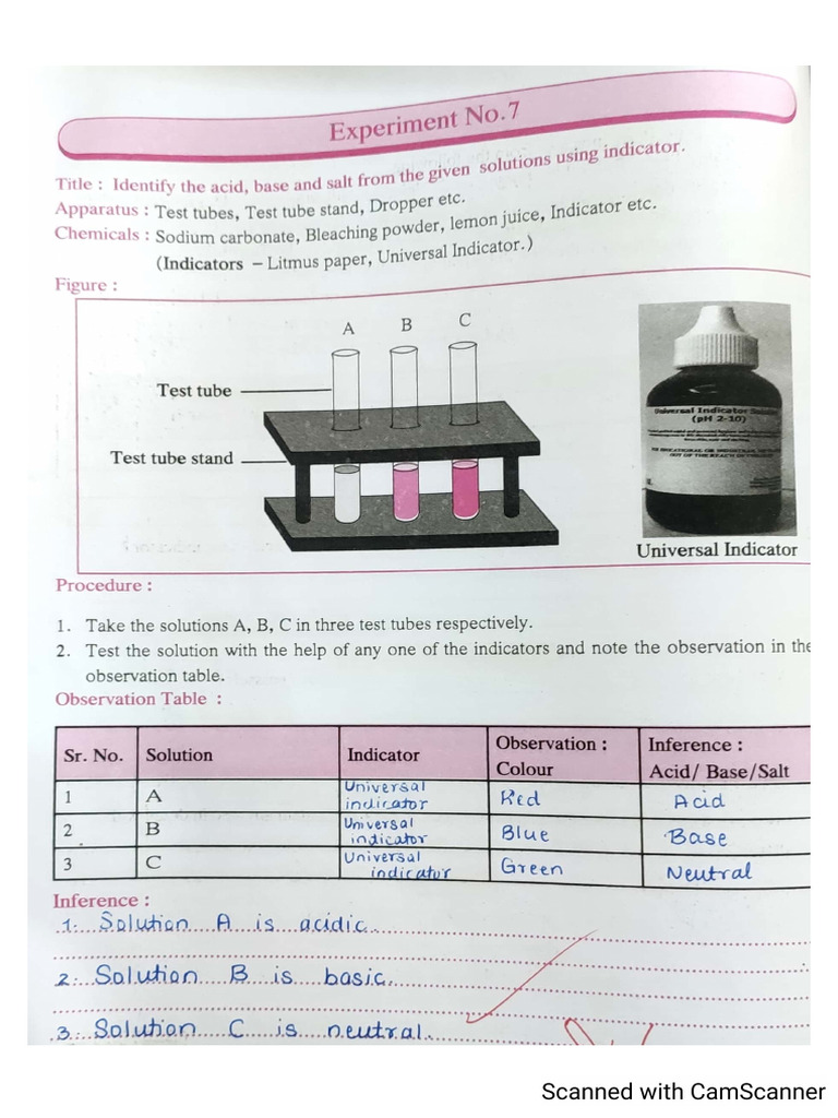 LX Science L Practicals (LL Term) | PDF