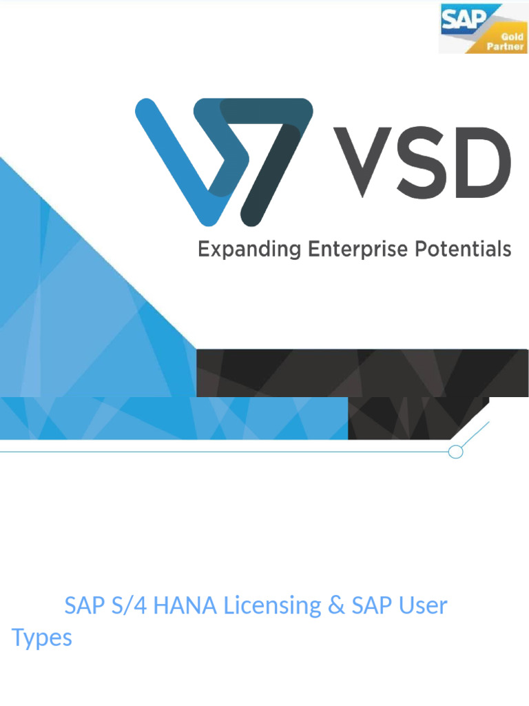 SAP S/4HANA User License Types Overview | PDF | Cloud Computing | Computing
